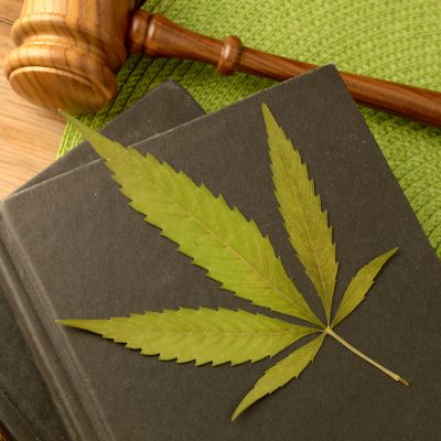 Legal Marijuana Information